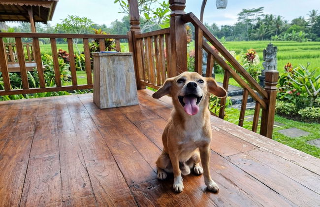 Sirya Farm House - Photo 6