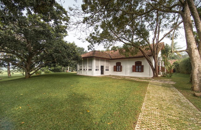 maya tangalle - Photo 33