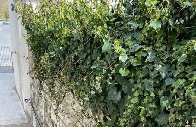 Town House in Ideal Location, Central Enniskillen - Foto 47