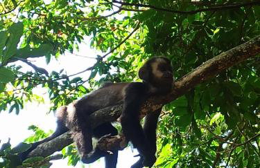 Amplo Refúgio - Diárias e Guest House - Beira da Lagoa - Foto 13