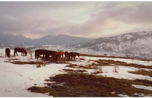 Tana di Zia Nature, Yourself, Love - Foto 54