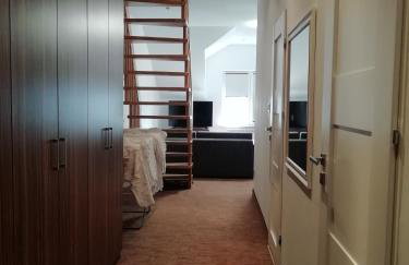 APARTAMENT W CENTRUM OLESNA - Foto 4