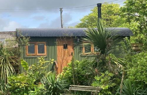 Lovely Shepherds hut near St Ives Cornwall - Foto 1