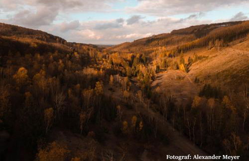 Femo SCHICK und EDEL kpl Wohungen 2 Bäder eigener Eingang - Foto 35