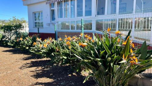 Refugio de la calma - Foto 1