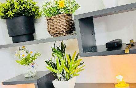 Beautiful and Spacious 4 Bed Room House In Coleshill-NEC - Foto 46