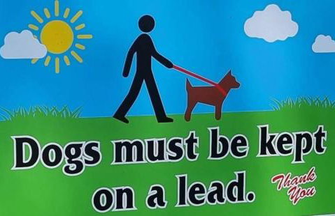 115 Modern South Facing Chalet on Sunbeach in Scratby Near Great Yarmouth - Foto 11