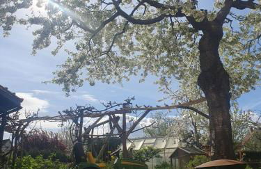 Ferienwohnung Cumbach - Foto 18