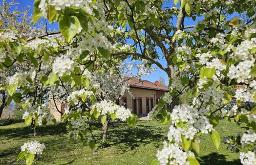 Hof am Meer "Seemöwe" - Foto 24