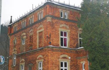 Kot Pocztowy - Foto 26