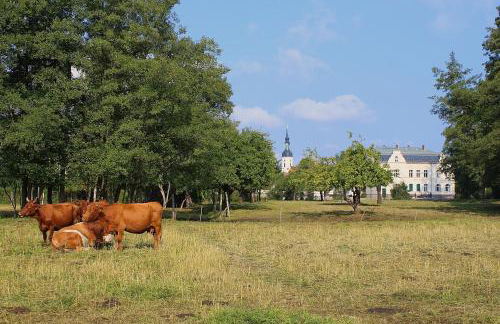 Spree Chalet - adults only - Foto 6