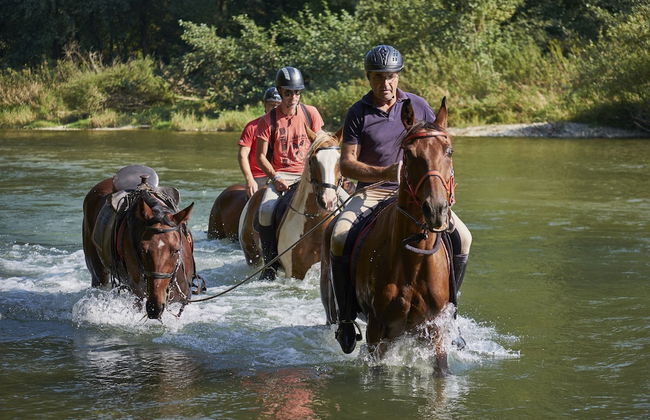 Holiday House Podhamer Boris With Private Wellness - Foto 15