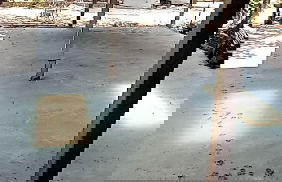 Backpackers Temple - Foto 23