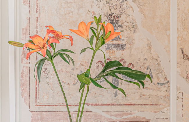 Antiga Casa Pessoa - Foto 19