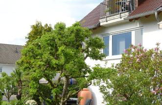 Ferienhaus Luzia - Foto 1