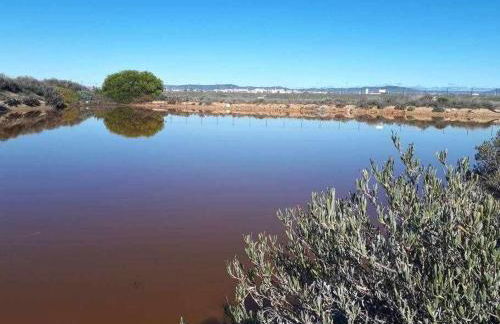 Ria Formosa Pineview - Foto 32