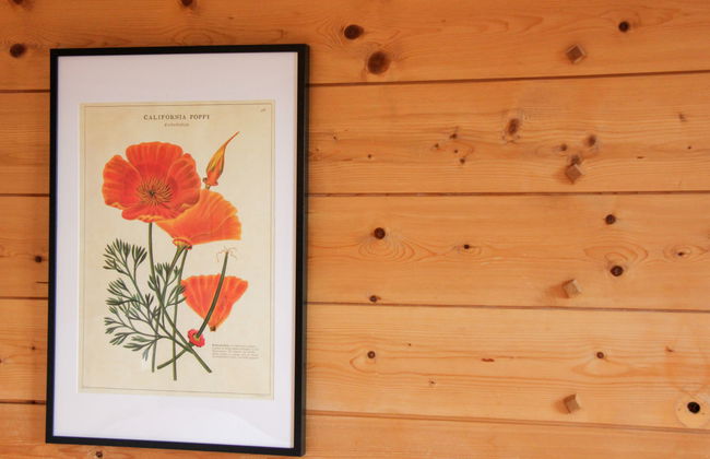 Le Bristol B36 - Foto 13