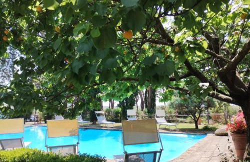 Marrucheto - Foto 37