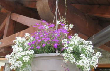 Résidence Les Alpages 4 étoiles - Appartement 4 personnes - Piscine, Hammam, Sauna, Jacuzzi - ValCenis 73480 - Foto 43