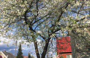 Apartament Pod Wiśnią - Foto 10