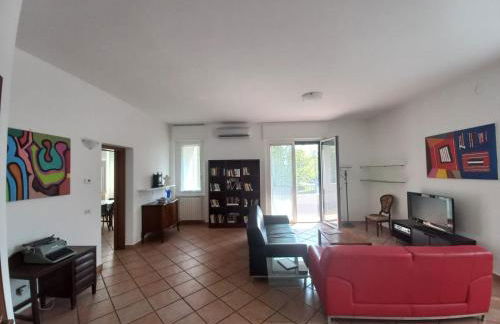 La testuggine - Foto 6