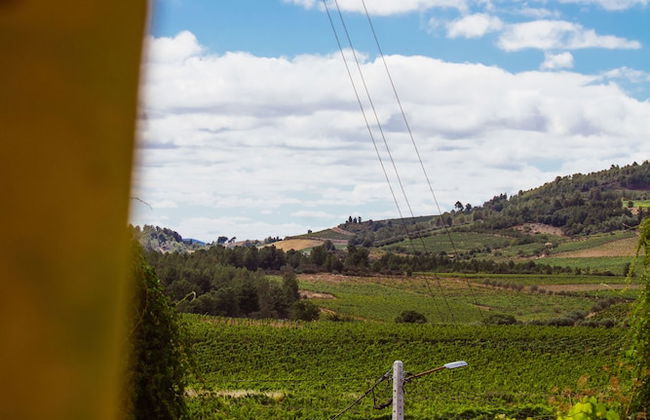 Casa Darcã - Foto 1