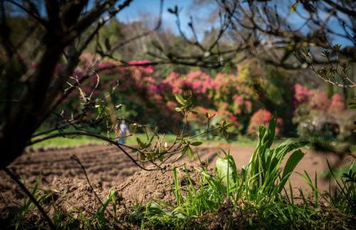 Quinta de Mourães Casa dos Rododendros - Foto 35