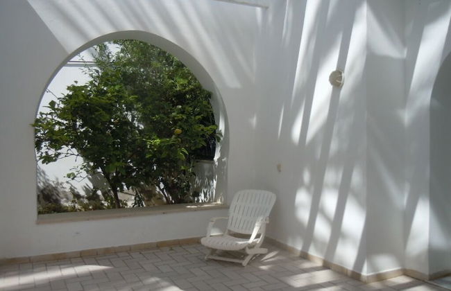 House With Garden Wala - Foto 14