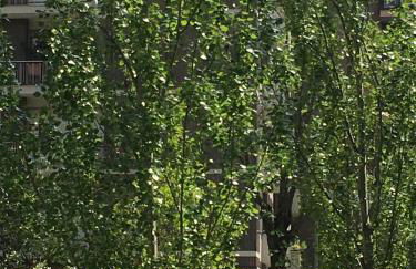 Loft Giulietta - Foto 25