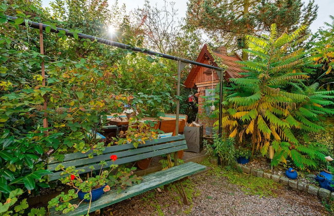 Pleasant Apartment in Bad Doberan near Sea - Photo 22