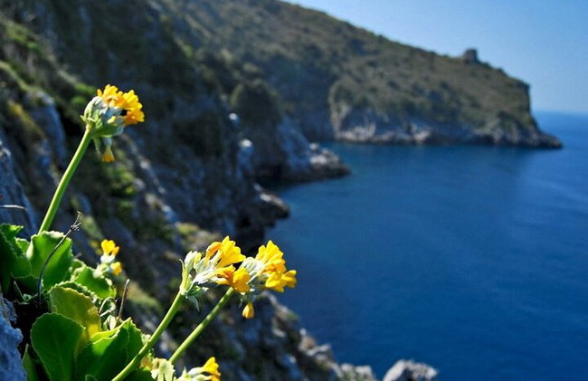 Côte amalfitaine : Circuit de luxe et privé à Ravello et Amalfi - Photo 7