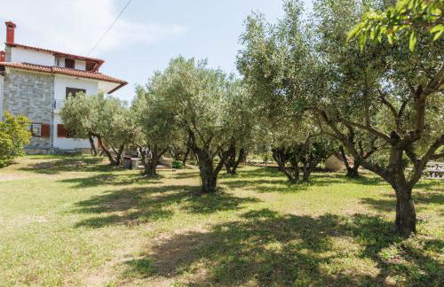 Large Home near Potamos Beach - Photo 20