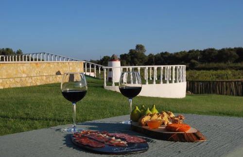 Adega Monte Maneta - Foto 23