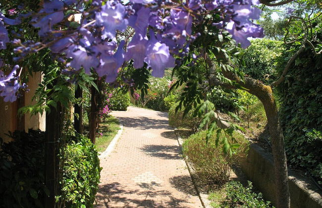 Villaggio l' Olivara - Foto 37