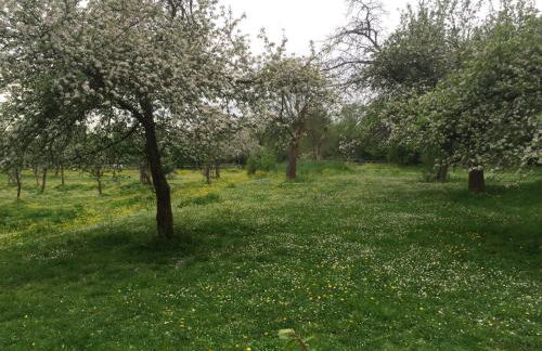 Dichterhaus Dresden - Foto 13