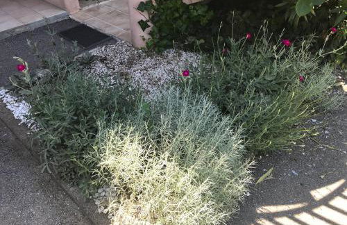 Studio climatisé piscine parking - Prix du Voyageur 2023 et 2024 ! Merci - Foto 11