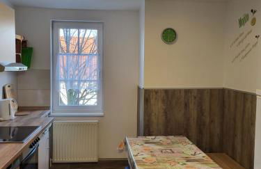 Pension & Ferienwohnungen Richter - Foto 26