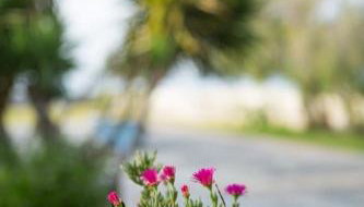 Greece Seaside villa 200sq m 20m from sea - Foto 2