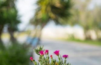 Greece Seaside villa 200sq m 20m from sea - Foto 2