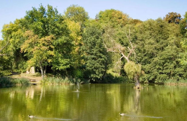 Lovely Apartment in Bollendorf near South Eifel Nature Park - Photo 39