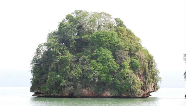 Un mogote del Parco Nazionale di Los Haitises