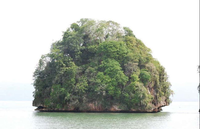 Escursione al Parco Nazionale di Los Haitises - Foto 1