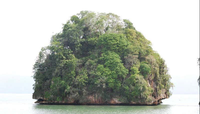 Excursion au Parc National Los Haitises - Photo 2, Monticule du Parc National Los Haitises