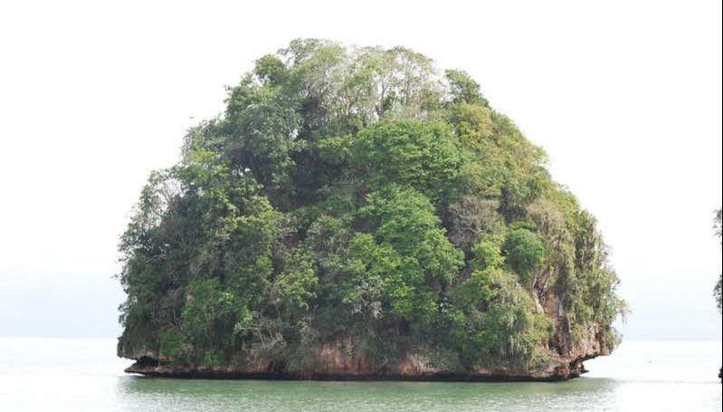 Monte do Parque Nacional Los Haitises