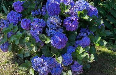 Welcome to Casa Fitz with Ocean Views and Air Conditioning - Photo 31