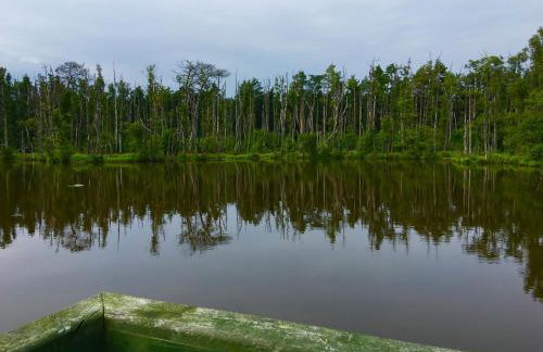 Stara Stodola / Old Barn - Foto 29