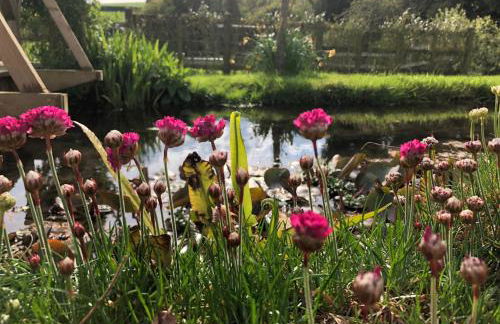 Stylish 1-bed Cottage Escape in Piddlehinton - Photo 25