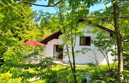 Berghütte Waldhäuser - Foto 1