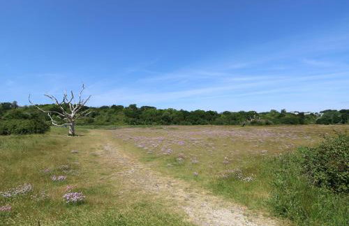 The Limes - Photo 41