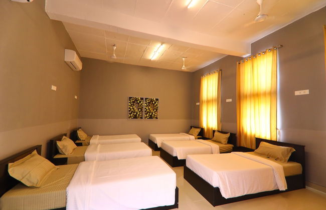 LA PALMERA - Foto 14